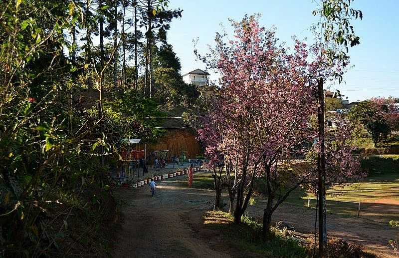 IMAGENS DO DISTRITO DE CAMPO DO COELHO, MUNICPIO DE NOVA FRIBURGO/RJ - CAMPO DO COELHO - RJ