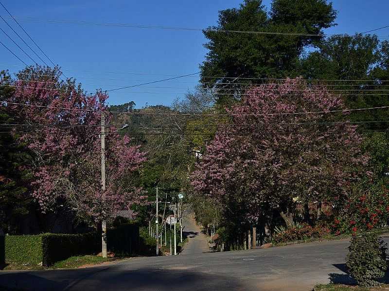 IMAGENS DO DISTRITO DE CAMPO DO COELHO, MUNICPIO DE NOVA FRIBURGO/RJ - CAMPO DO COELHO - RJ