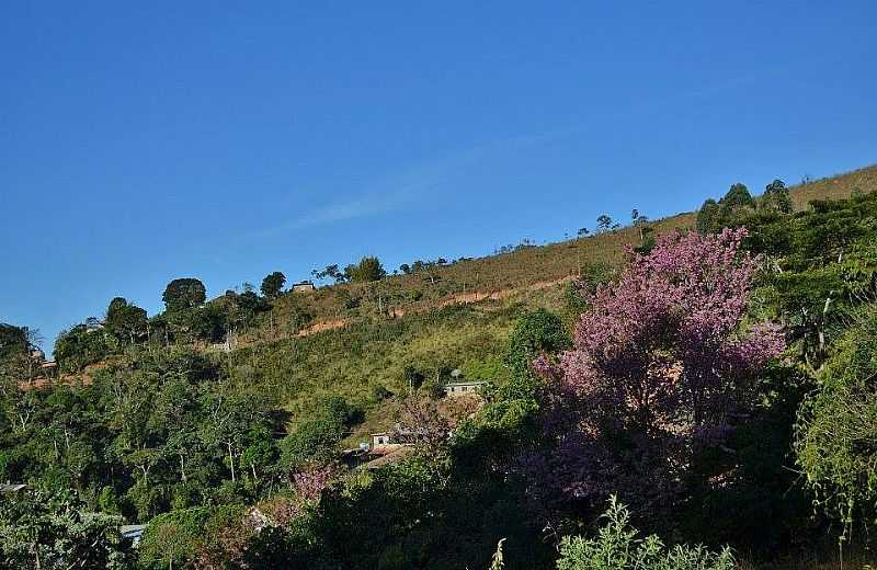 IMAGENS DO DISTRITO DE CAMPO DO COELHO, MUNICPIO DE NOVA FRIBURGO/RJ - CAMPO DO COELHO - RJ