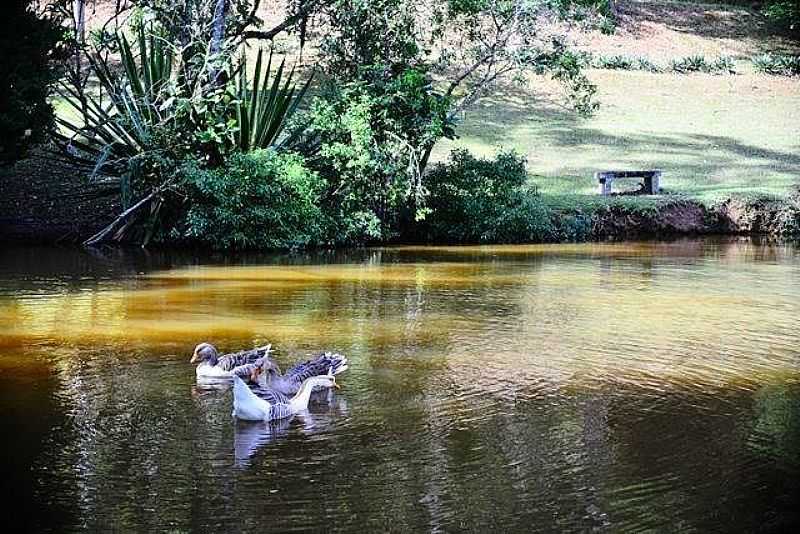 IMAGENS DO DISTRITO DE CAMPO DO COELHO, MUNICPIO DE NOVA FRIBURGO/RJ - CAMPO DO COELHO - RJ