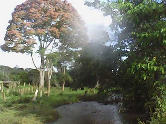 FAZENDA, POR GAL SOLIDADE - ITAGI - BA