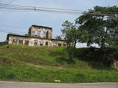 RUINAS DA FAZENDA SO BERNARDINO-FOTO:FLAVIOJM S   - CAVA - RJ