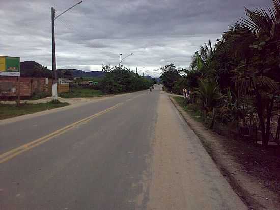 RODOVIA AL-110 EM COLNIA LEOPOLDINA-FOTO:LUIZ HERCULANO - COLNIA LEOPOLDINA - AL