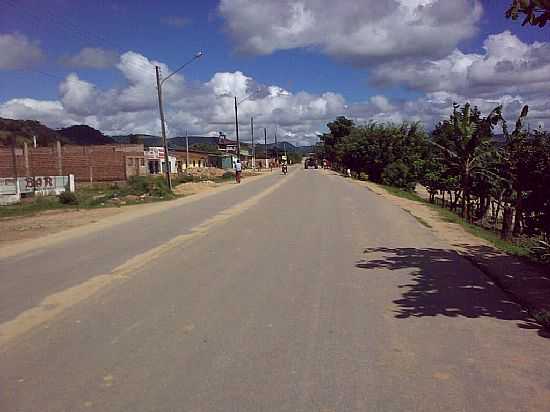 RODOVIA AL- 110 EM COLNIA LEOPOLDINA-FOTO:LUIZ HERCULANO - COLNIA LEOPOLDINA - AL