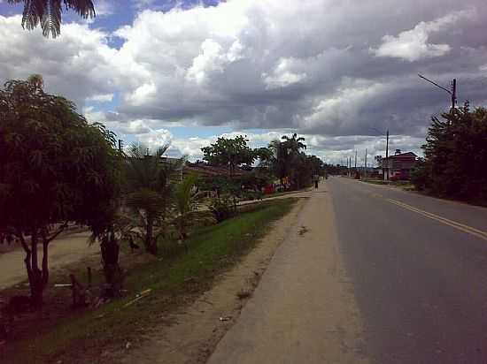 RODOVIA AL- 110 EM COLNIA LEOPOLDINA-FOTO:LUIZ HERCULANO2 - COLNIA LEOPOLDINA - AL