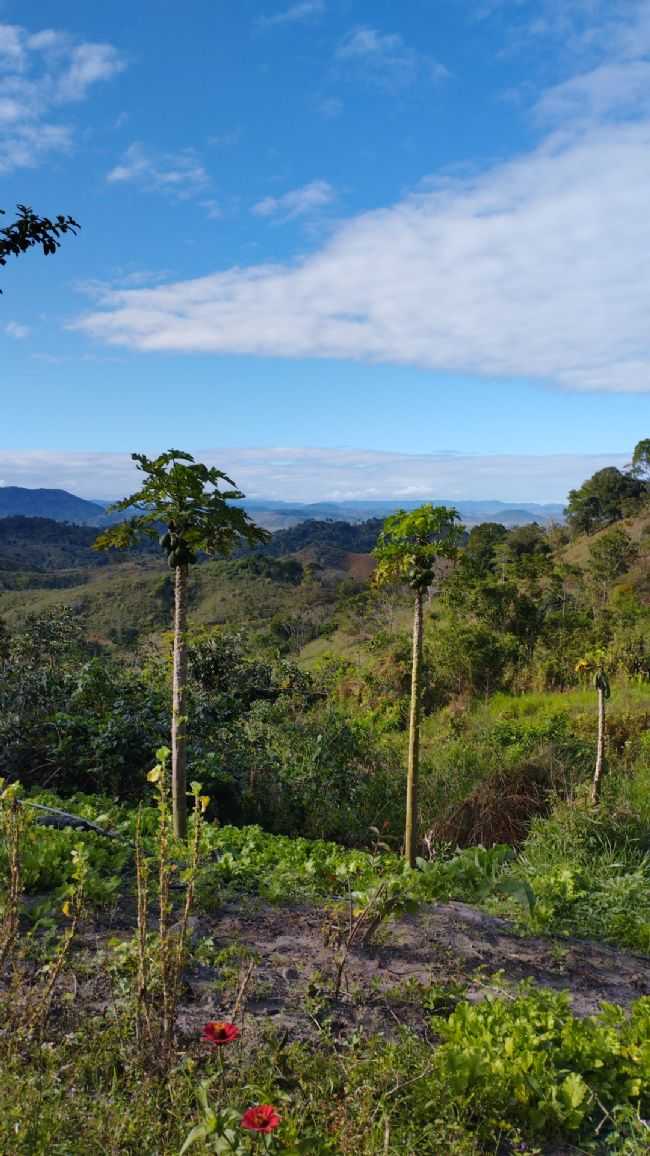 ITAGIB BAHIA, POR VF - ITAGIB - BA
