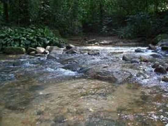 PARQUE NATURAL MUNICIPAL DA TAQUARA EM DUQUE DE CAXIAS-FOTO:LEONARDO S. OLIVEIRA - DUQUE DE CAXIAS - RJ