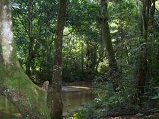 PARQUE NATURAL MUNICIPAL DA TAQUARA EM DUQUE DE CAXIAS-FOTO:LEONARDO S. OLIVEIRA - DUQUE DE CAXIAS - RJ