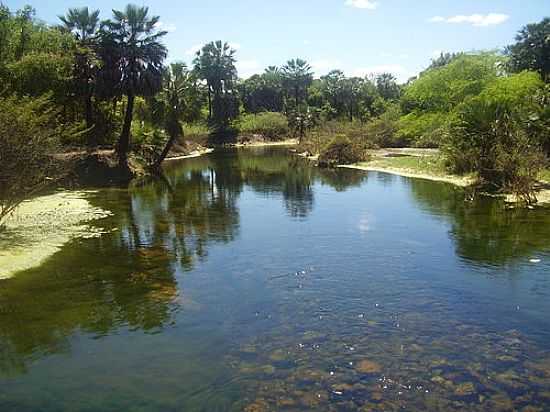 LAGO NO POVOADO RIO VERDE EM ITAGUAU DA BAHIA-BA-FOTO:TSSIO CUNHA - ITAGUAU DA BAHIA - BA