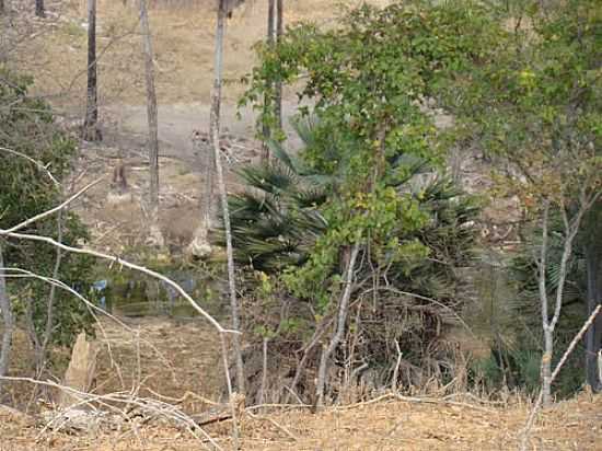 RIACHO NO POVOADO DE ALMAS EM ITAGUAU DA BAHIA-BA-FOTO:MMALENCAR - ITAGUAU DA BAHIA - BA