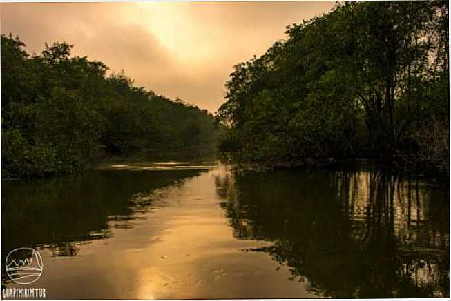 PANTANAL FLUMINENSE, POR RAFAEL COELHO - GUAPIMIRIM - RJ