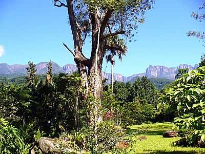 VISTA DA SERRA DOS ORGOS-FOTO:HENRIQUE.CESAR  - GUAPIMIRIM - RJ