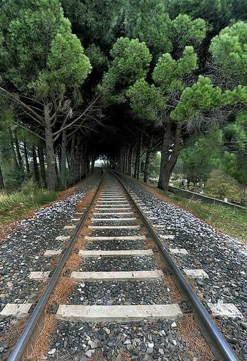 IMAGENS DO DISTRITO DE GUIA DE PACOBAIBA, MUNICPIO DE MAG/RJ - GUIA DE PACOBABA - RJ