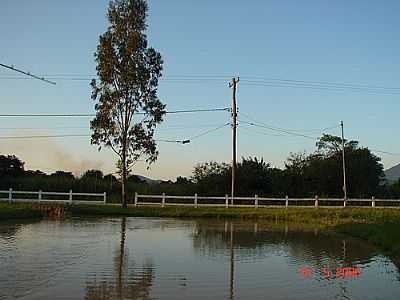 LAGO DA DONA CORINA-FOTO:FERNANDO A C DE OLIV  - INO - RJ