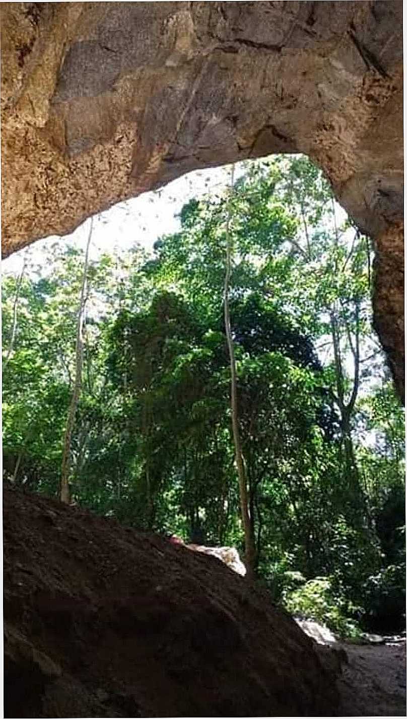 IMAGENS DO DISTRITO DE IPIIBA, MUNICPIO DE SO GONALO/RJ - IPIIBA - RJ