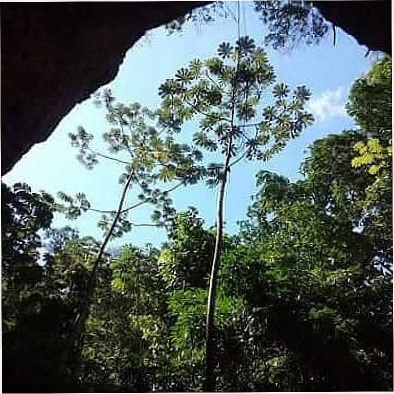 IMAGENS DO DISTRITO DE IPIIBA, MUNICPIO DE SO GONALO/RJ - IPIIBA - RJ