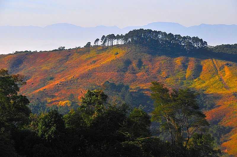 ITATIAIA-RJ-PARQUE NACIONAL DE ITATIAIA-FOTO:KILSONRJ - ITATIAIA - RJ