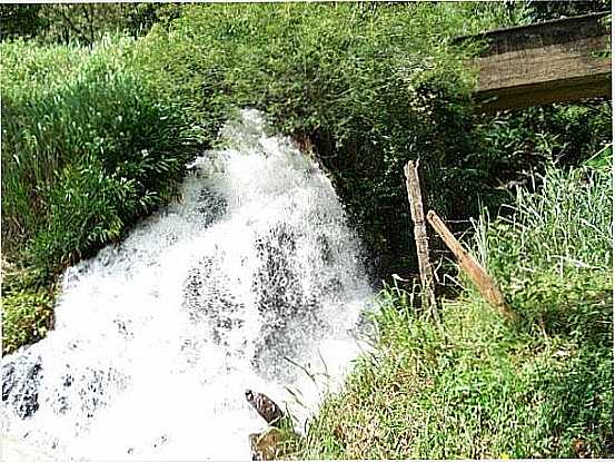 CACHOEIRA SANTA BRANCA EM JAPERI-FOTO:MERCIASILVA - JAPERI - RJ