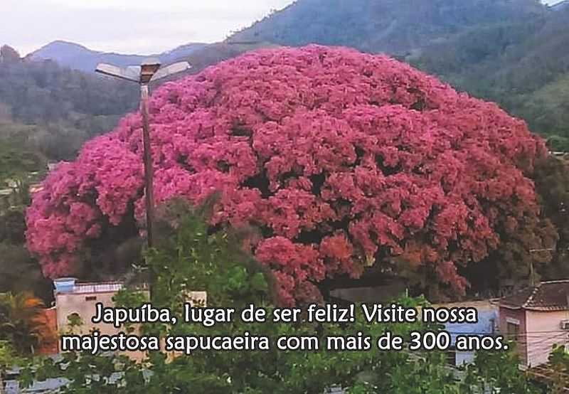 IMAGENS DO DISTRITO DE JAPUIBA, MUNICPIO DE CACHOEIRAS DE MACACU/RJ - JAPUBA - RJ