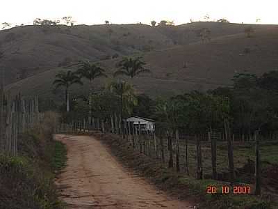 FAZENDA PALMITAL-FOTO:UBIRATAM C DE PAULA  - LARANJAIS - RJ