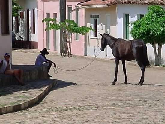 IMAGEM-FOTO:FABIO CARVALHO - ITATU - BA