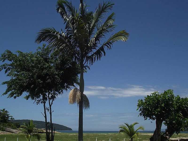 MAMBUCABA - RIO DE JANEIRO - MAMBUCABA - RJ