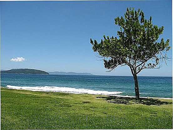 ORLA DA PRAIA DE MAMBUCABA-RJ-FOTO:ARTHUR TORRES - MAMBUCABA - RJ