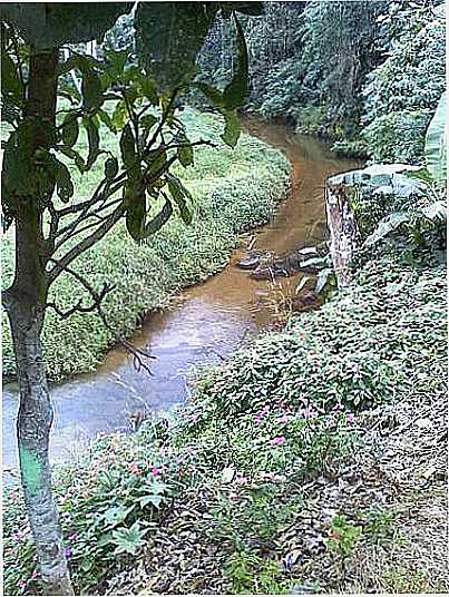 SERRA DO PILOTO FOTO
POR PUGA2008 - MANGARATIBA - RJ