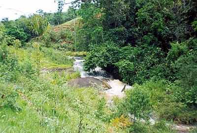 CACHOEIRA DONA TINA 
POR ANDRE ALVIM(XX) - MIRACEMA - RJ