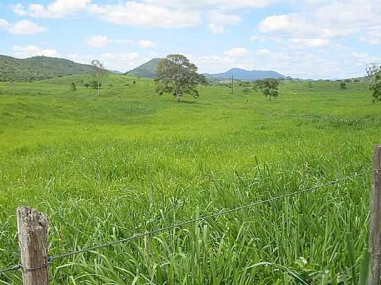 ITAJU DO COLNIA-BA-FAZENDA VOLTA DO OURO-FOTO:FABIO9158 - ITAJU DO COLNIA - BA