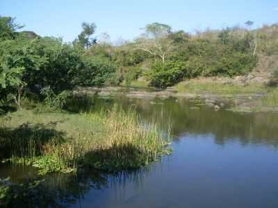 RIO COLONIA, POR HAURI RAFAEL BOMFIM DE AZEVEDO - ITAJU DO COLNIA - BA