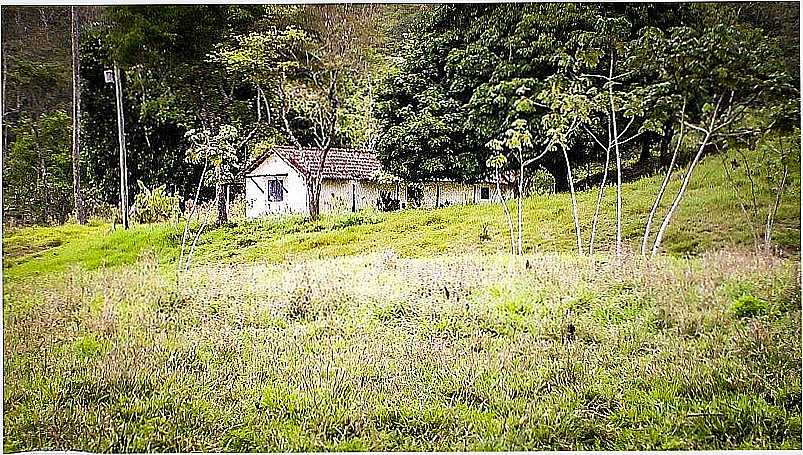 IMAGENS DO DISTRITO DE MORANGABA, MUNICPIO DE CAMPOS DE GOYTACAZES/RJ - MORANGABA - RJ