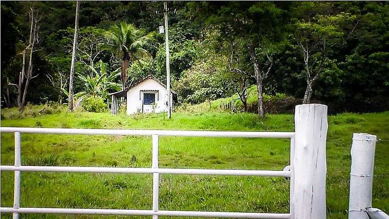 IMAGENS DO DISTRITO DE MORANGABA, MUNICPIO DE CAMPOS DE GOYTACAZES/RJ - MORANGABA - RJ