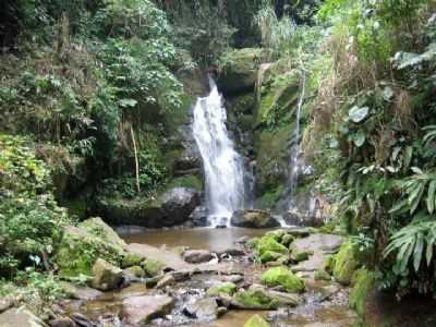 RIO BONITO DE CIMA, POR MAURICIO MELETTI - NOVA FRIBURGO - RJ