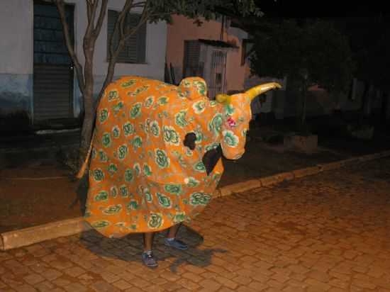 CARNAVAL COM BOI PINTADINHO, POR VANDO MOURA - OURNIA - RJ