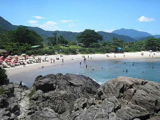 PRAIA DO MEIO-FOTO:MARCELO PARISE PETAZ - PARATY - RJ