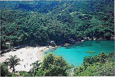 PRAIA DE PONTA NEGRA FOTO FOTO SKYSCRAPERCITY GILSONBARROS - PARATY - RJ