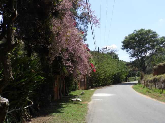 POR ALEXANDRE - PASSA TRS - RJ