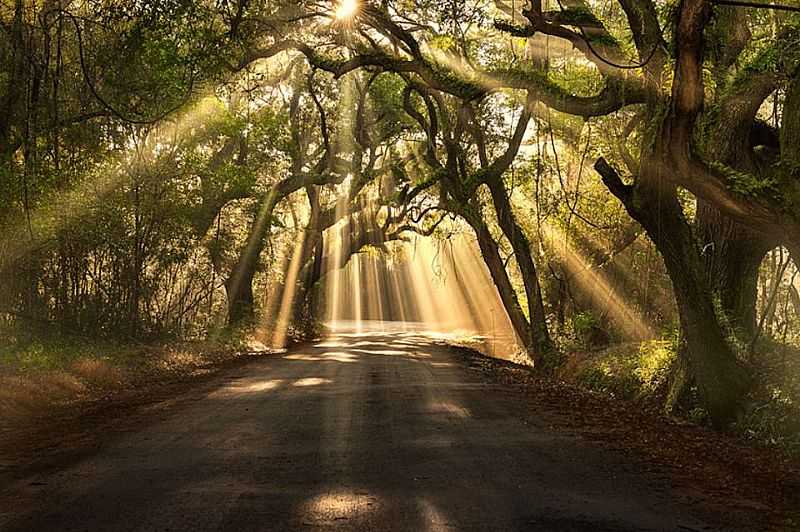 IMAGENS DE PATY DO ALFERES - RJ - FOTO PREFEITURA  - PATY DO ALFERES - RJ