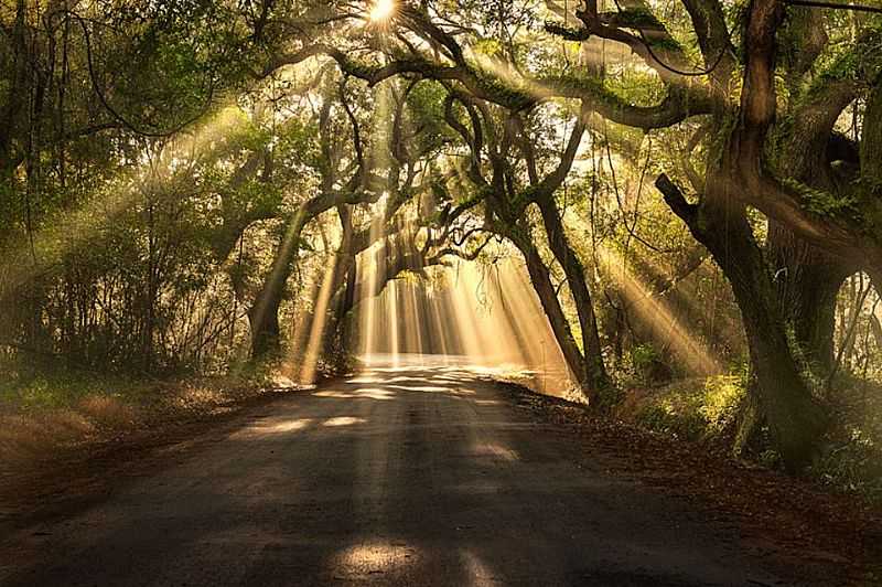 IMAGENS DE PATY DO ALFERES - RJ - FOTO PREFEITURA  - PATY DO ALFERES - RJ