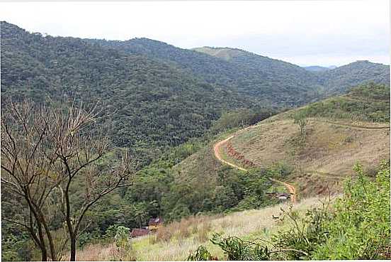 VISTA DO CAMINHO FEITO PELO PASSEIO DE QUADRICICLO DE PENEDO, POR GLAISO  PEREIRA - PENEDO - RJ