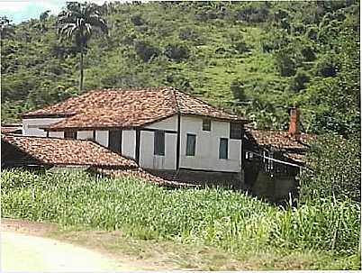 FAZENDA PASSA TRES, POR JUNIOR FAJARDO - PORTO VELHO DO CUNHA - RJ