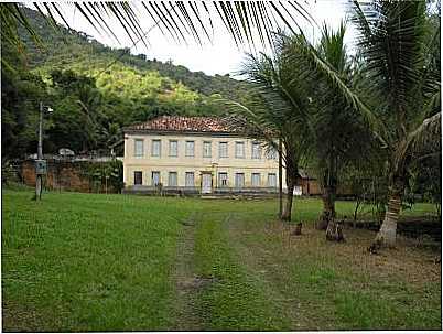 FAZENDA DA FAMILIA FAJARDO, POR JUNIOR  FAJARDO - PORTO VELHO DO CUNHA - RJ