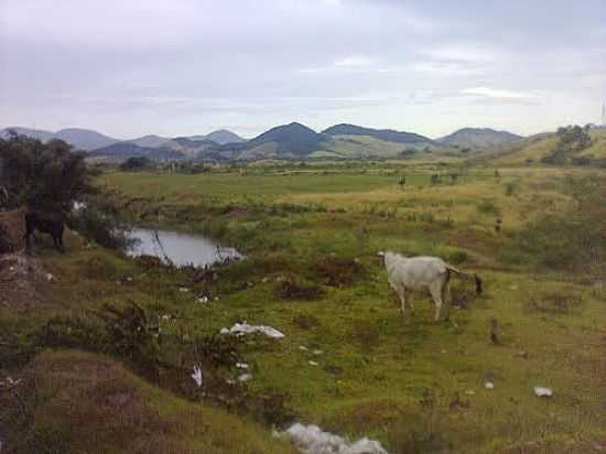 IMAGEM DA REA RURAL DE RIO BONITO-RJ-FOTO:NEWTON ALMEIDA - RIO BONITO - RJ