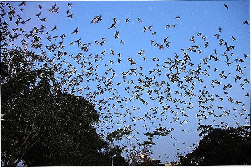 IMAGENS DA CIDADE DE ITAMB - BA - ITAMB - BA