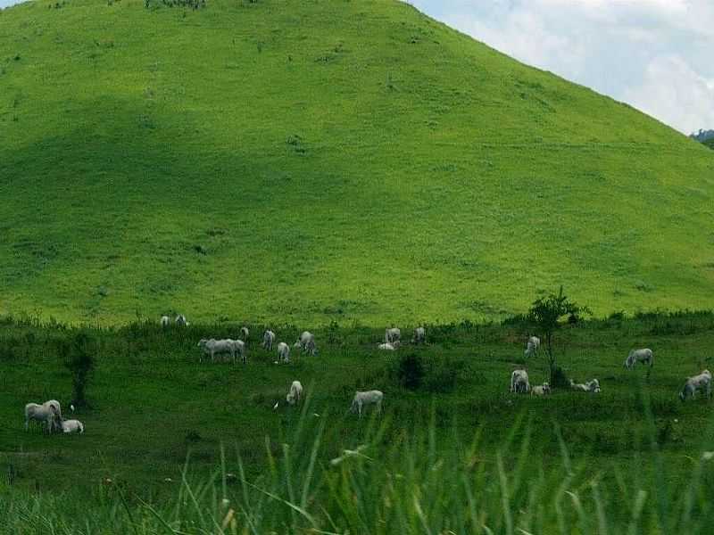 IMAGENS DA CIDADE DE ITAMB - BA - ITAMB - BA