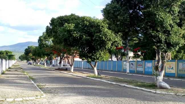 AVENIDA JOO DURVAL - ITAMB AGORA, POR REGINALDO SPNOLA - BLOG ITAMB AGORA - ITAMB - BA