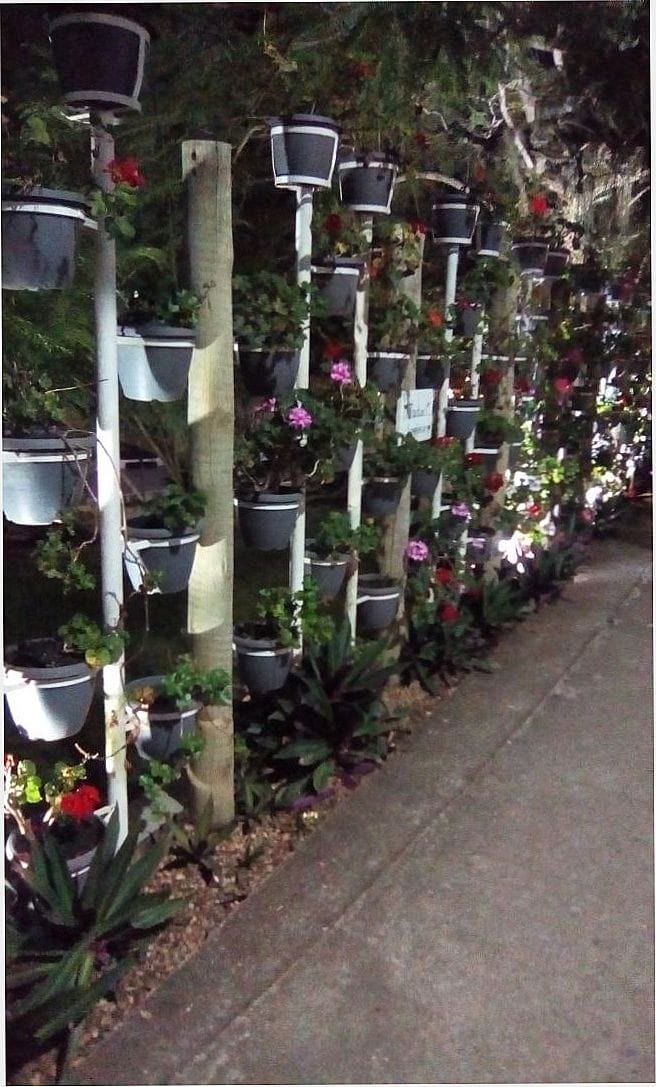 POR ELIEZER COSTA - RIO DAS FLORES - RJ