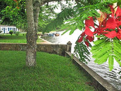 BEIRA RIO - RIO SO JOO, POR ROSEMERI CARVALHO - RIO DAS OSTRAS - RJ