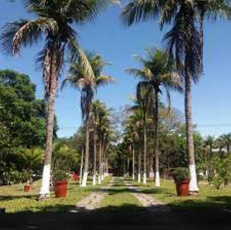 IMAGENS DO BAIRRO SAMBAETIBA, MUNICPIO DE ITABORA/RJ - SAMBAETIBA - RJ